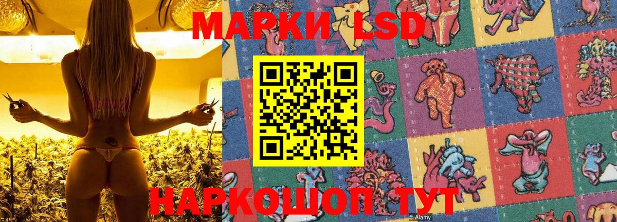 Марки N-bome 1,8мг Жигулёвск