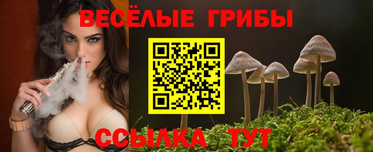 Галлюциногенные грибы Psilocybe  Галлюциногенные грибы Cubensis  Вход с VPN  Жигулёвск 